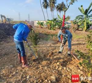 热带种植园农业的区位因素(9种热带果树成为三亚引种“新奇特优”热带水果新成员)