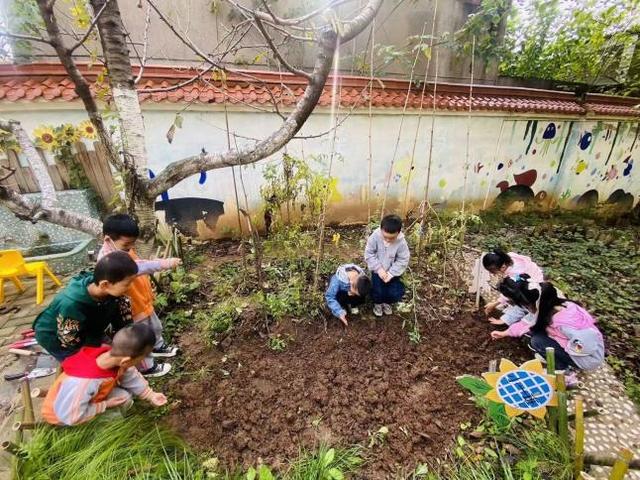 西安市灞桥区狄寨中心幼儿园香菜日记