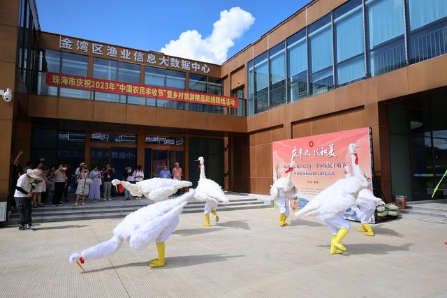 乡村旅游也有科技感，来珠海金湾围观“大数据养鱼”