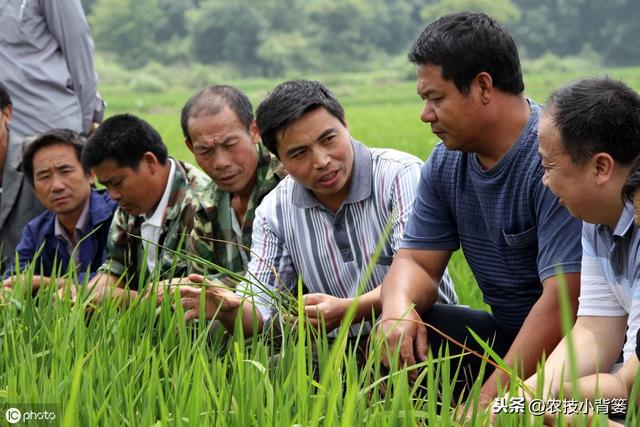 枯草芽孢杆菌用的好，在改良土壤、防治病害、作物增产是个宝