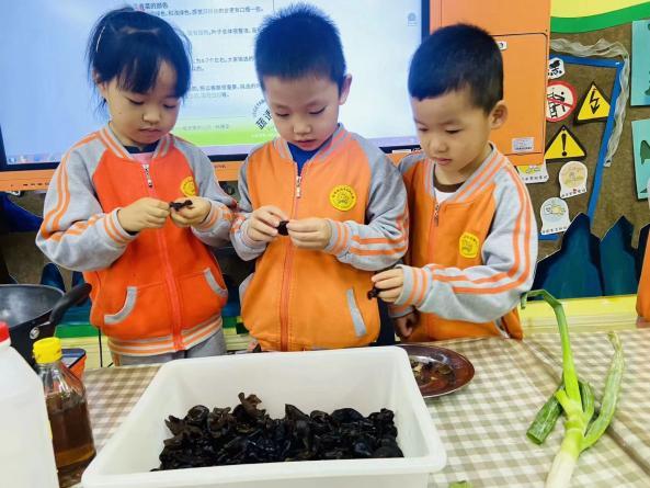 西安市灞桥区狄寨中心幼儿园香菜日记