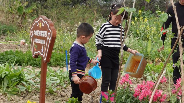 从播种收获到做成菜肴，广州花都这所学校打造班级“种植园地”