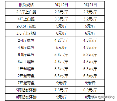 花鲢白鲢草鱼鳊鱼鲫鱼批发价格(武汉白沙洲水产市场)