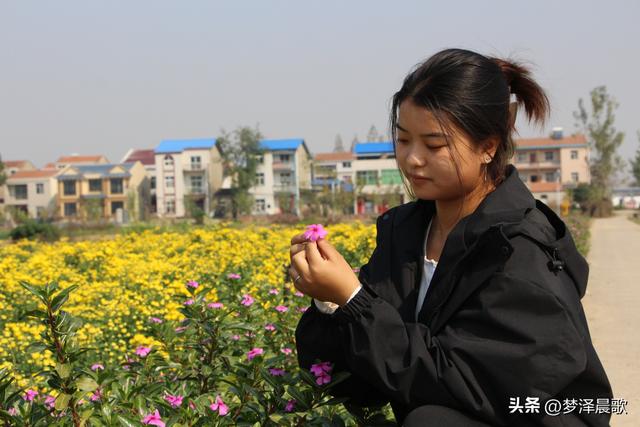 湖北云梦：菜园种成了“花园”