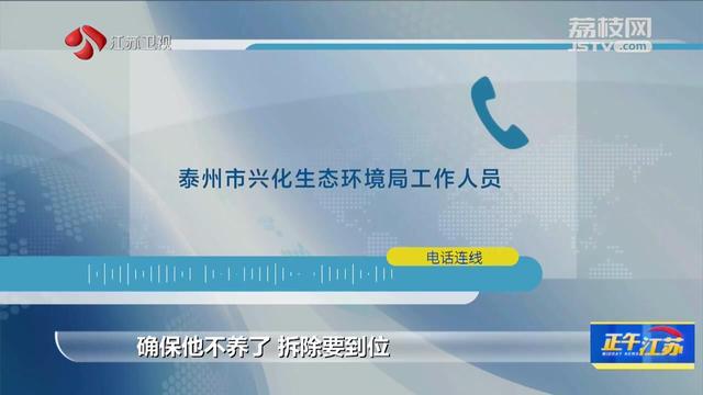 泰州兴化一黑水虻养殖场气味扰民 绿色生态项目为何“不环保”？