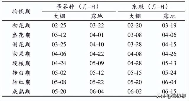 了解兰溪杨梅设施栽培发展的前景，把握市场商机