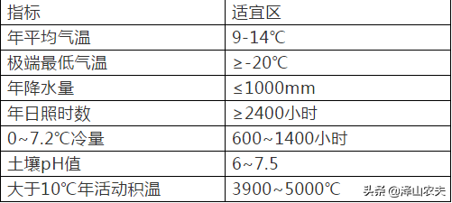 你知道那些地区适合种植大樱桃吗？这个问题大家一定很想知道吧！