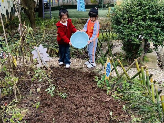 西安市灞桥区狄寨中心幼儿园香菜日记