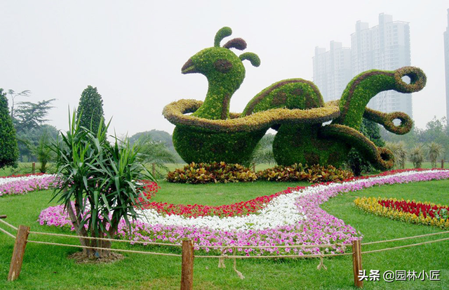 植物景观设计中，“花坛”植物选择、种植要点以及案例欣赏