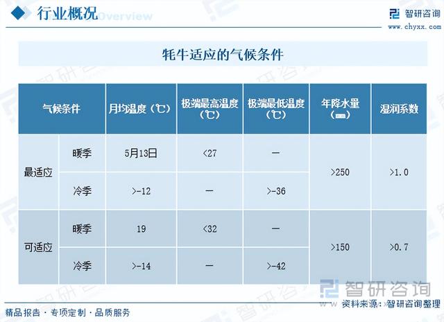 一文浅析2023年中国牦牛养殖现状、优势养殖区域及未来发展前景