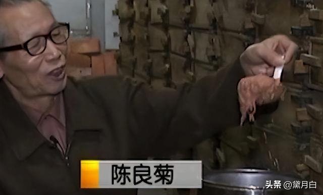 2011年，江西老汉饲养2000条毒蛇，把它们驯服得像亲人一样