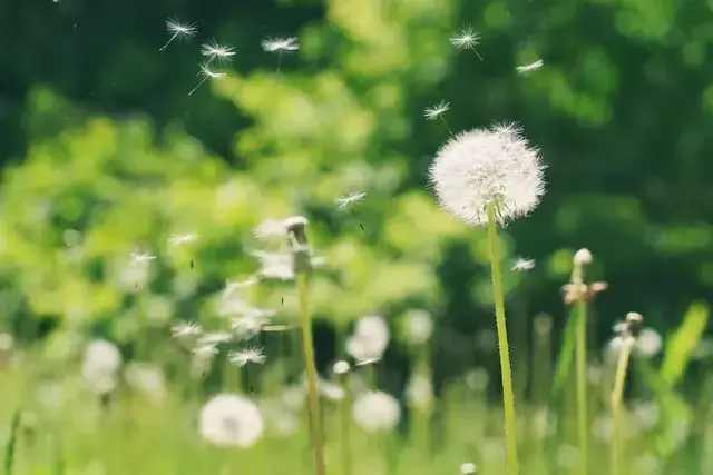 春暖花开看世界……