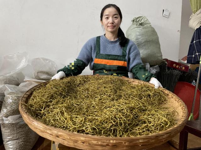 霍山石斛生产工艺技术