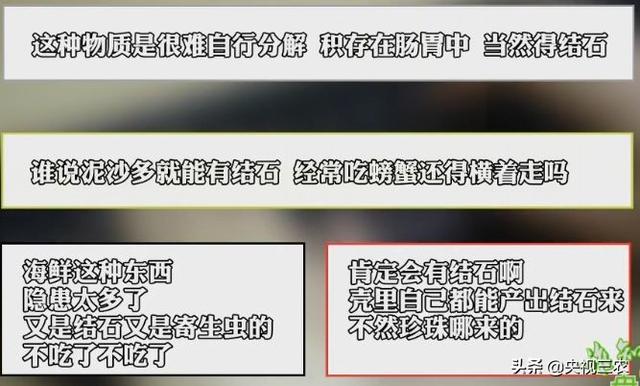 为何这里的文蛤被称为“天下第一鲜”?