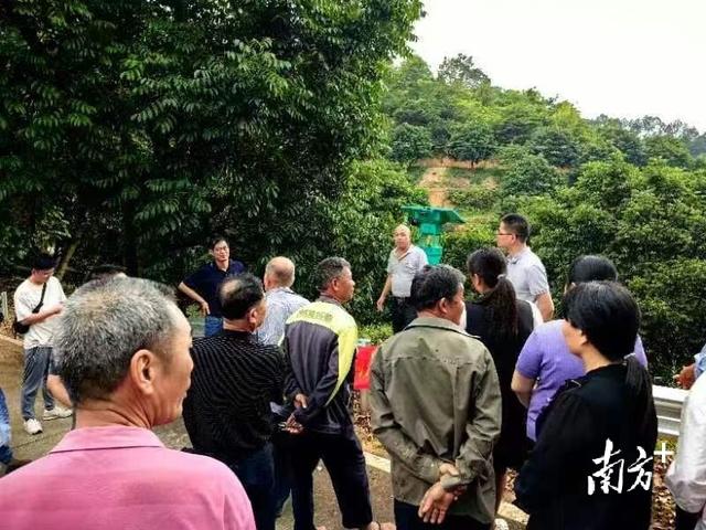 聚焦高效高质，博士专家进文祠橄榄基地培训果农