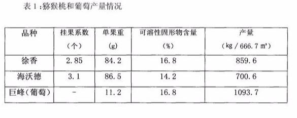 猕猴桃和葡萄立体栽培技术