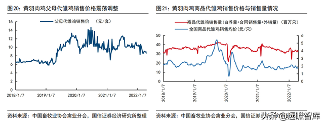 猪周期深度报告：启动周期反转，决胜养殖布局