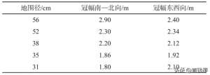 密桔种植技术(洪江市柑橘提早复冠及丰产栽培技术)