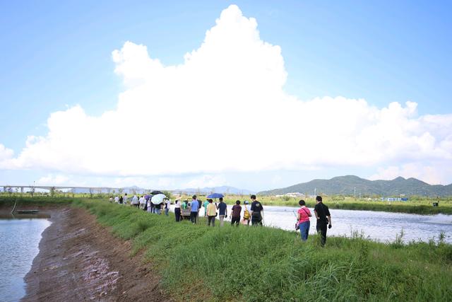 乡村旅游也有科技感，来珠海金湾围观“大数据养鱼”