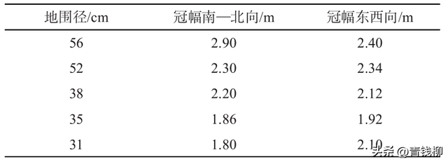 洪江市柑橘提早复冠及丰产栽培技术