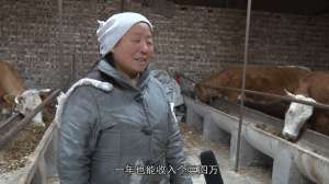 农村肉牛养殖(交口县广武庄村：肉牛养殖“犇”幸福 乡村振兴“牛”起来)