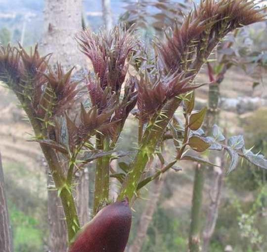 十个高收益种植项目，想赚钱的别错过，建议收藏