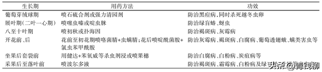 海宁市惊现黑皇葡萄！了解其引种表现和栽培技术