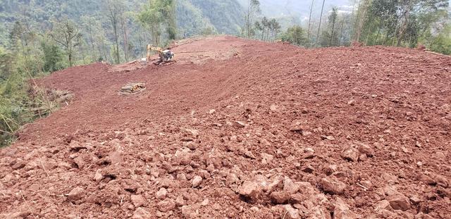 乡村振兴土地整理及中药何首乌的种植技术分享