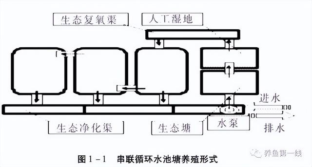 养殖池塘的规划与设计：价值多元的目标定位，提高效率的有效配置