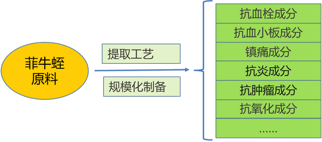 中国科学院昆明动物研究所助力水蛭生物资源利用和产业化发展