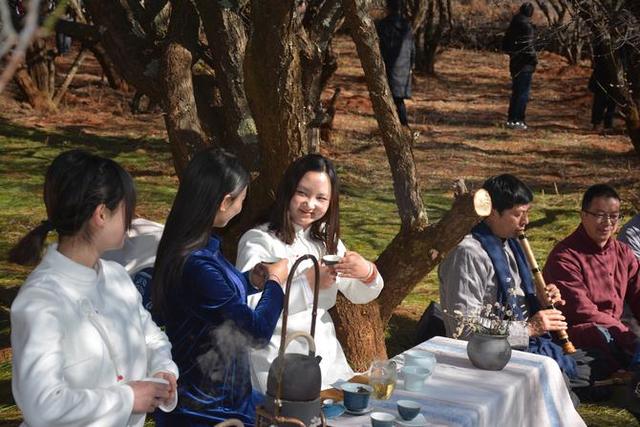 首届中国洱源梅花文化节举行