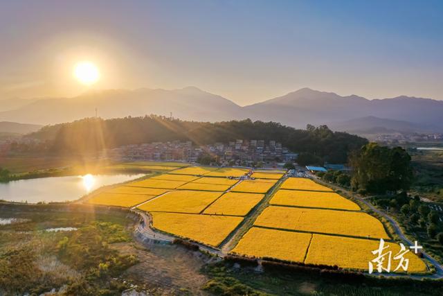 水经济润民生，广东这座水库移民村吃上了“生态饭”｜民生新质感