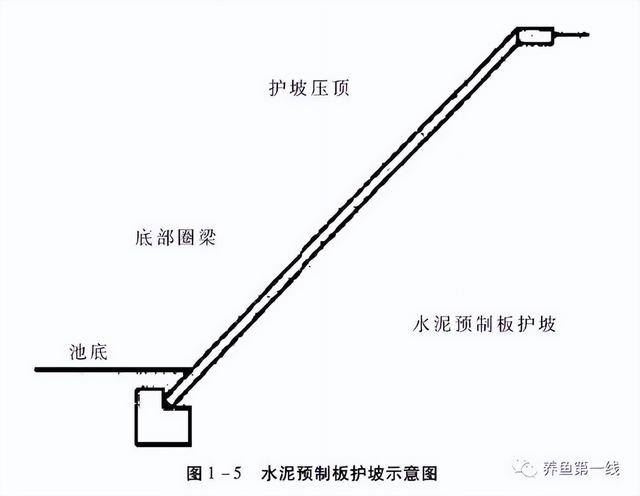 养殖池塘的规划与设计：价值多元的目标定位，提高效率的有效配置