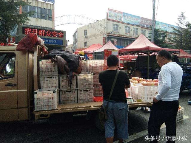 临沂经济技术开发区月亮湾农贸市场，开发区最大的农产品零售市场