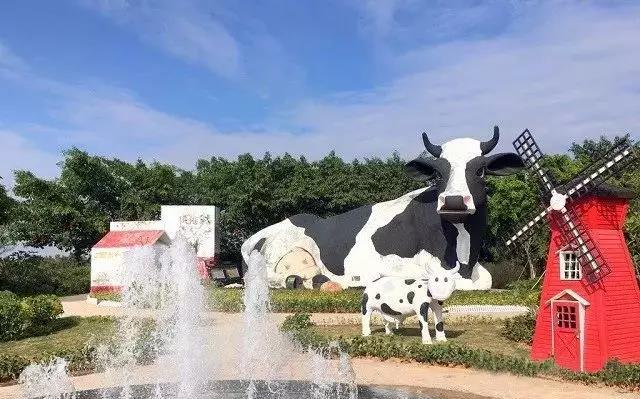 趁暑假带娃去感受下深圳光明农场，喂小牛，骑马，摘水果等各种体验