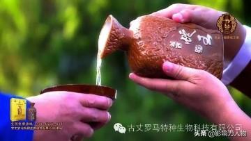 湘西蛇王酒为何能多次得到中央电视台的报道？