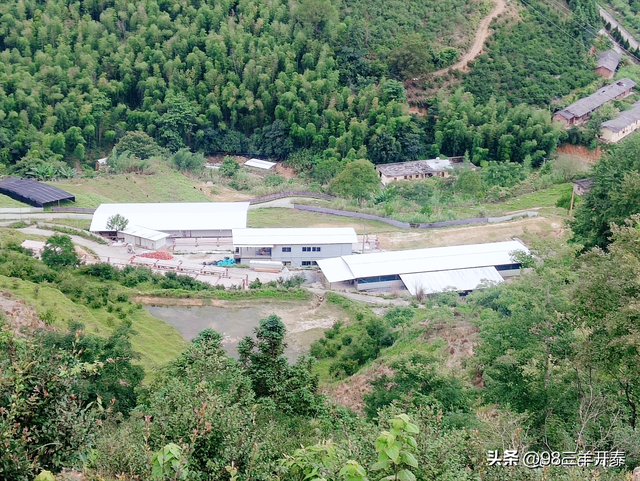 福建省三羊农牧有限公司 十年磨砺，三羊开泰