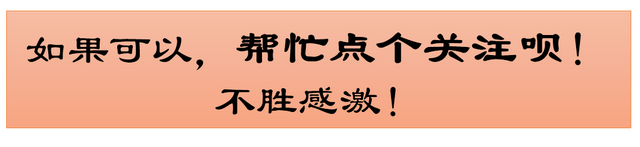 退伍军人靠养豪猪致富