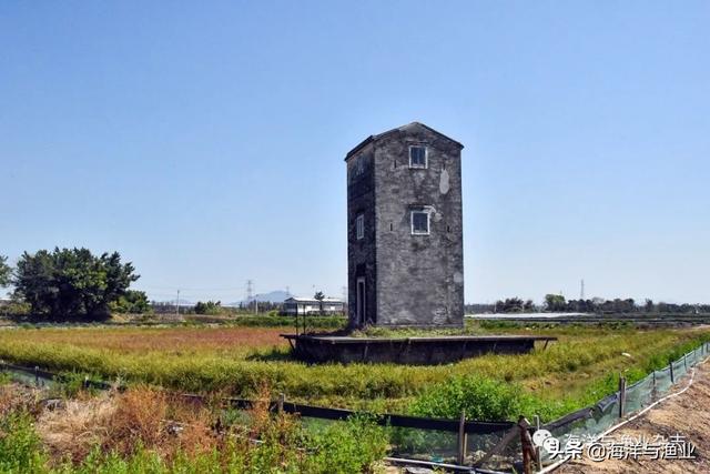 广东渔业轻骑兵为澳洲淡水龙虾养殖把脉开方