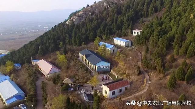 【农广天地】冬季如何让蛋鸡多产蛋