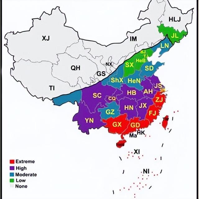 百万白蚁差点“吃垮”大坝？吃木头的白蚁，怎么啃得动钢筋水泥？