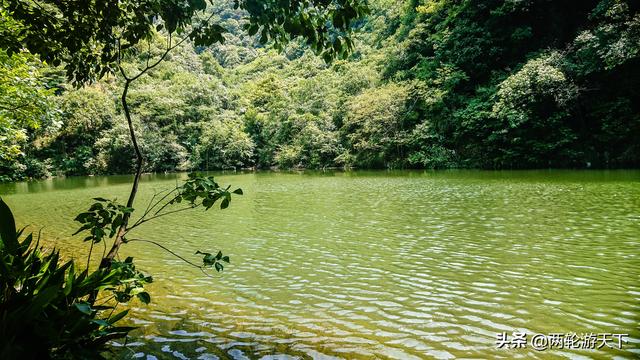 铜陵有安徽最大的东北虎养殖基地，20元门票没人来，年亏损200万