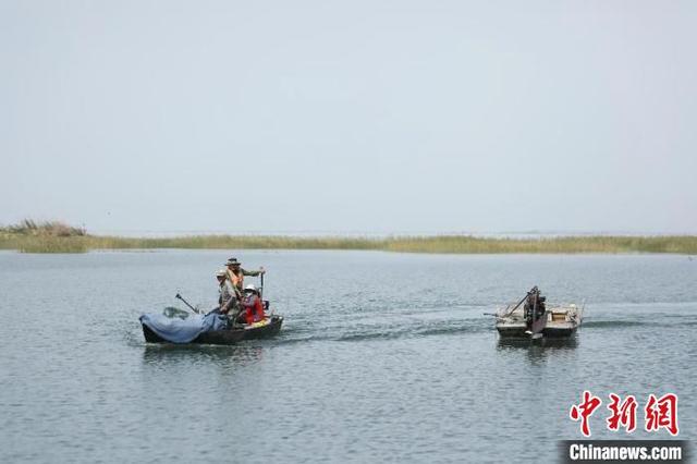 （乡村行·看振兴）借水生财！新疆兵团特色水产养殖助力乡村振兴