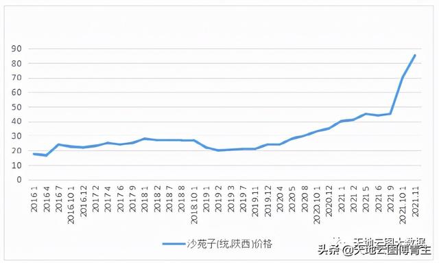 中药原料评测∣受灾行情暴涨，沙苑子后市会否继续走高？