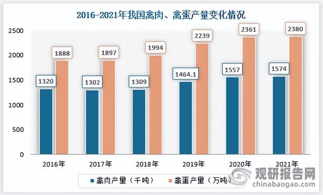 我国家禽养殖行业现状及前景 存出栏量增速连降 低迷行情或迎来转机