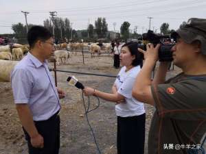 浙江省山羊养殖场(辽西群晟畜牧交易市场)