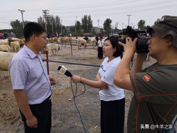 辽西群晟畜牧交易市场