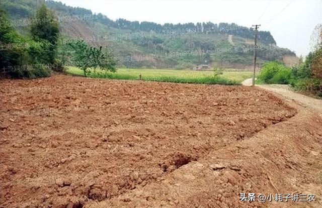 设施农业用地政策“大转向”，养殖场能占耕地吗？新规定已明确