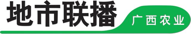 广西忻城：从老板变身“养蛙人”，他返乡“二次”创业，立志带富一方群众