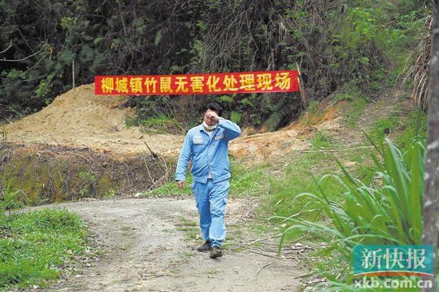 弃养野生动物不耽误脱贫攻坚 河源特色养殖扶贫项目急速转产(1)